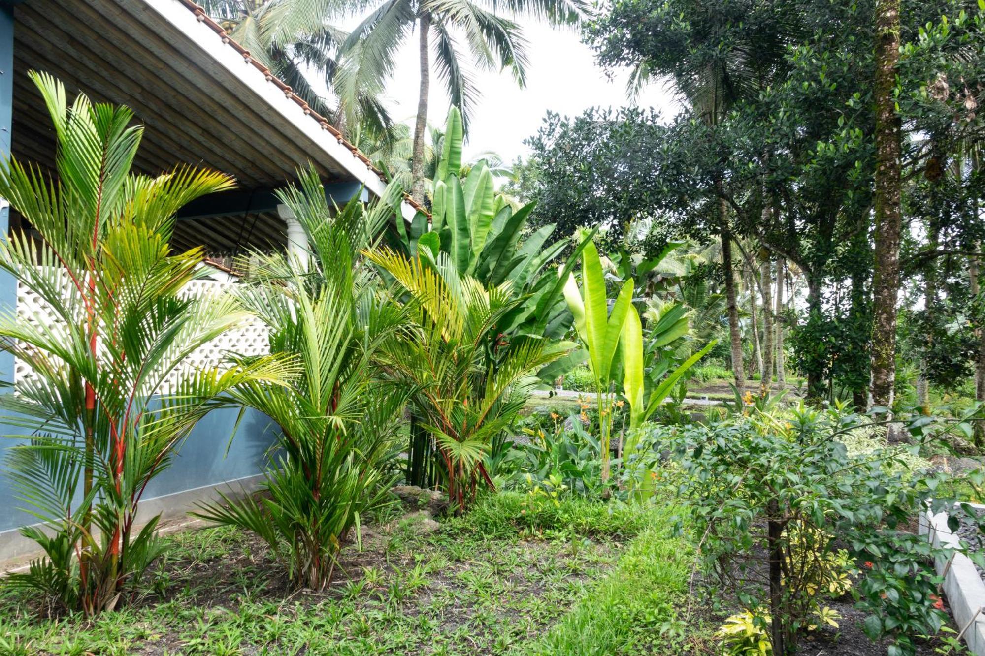Darmada Eco Resort Sidemen  Exterior foto